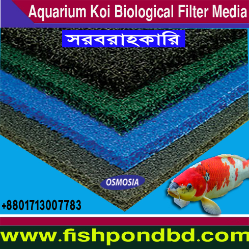 Japanese Matala Sheet in bd, Japanese Matala Sheet Suppliers in bd, Japanese Matala Sheet Suppliers Company in bd, Japanese Aquarium Matala Sheet Suppliers Company in bd, Japanese Aquarium Fish Farming Matala Sheet Suppliers Company in bd, Japanese Aquaculture Fish Farming Matala Sheet Suppliers Company in bd, Aquaculture Fish Farming Japanese Matala Sheet Suppliers Company in bd, Japanese Biological Filter Matala Mat Supplier in bd, Aquaculture Fish Farming Matala Sheet Suppliers Company in bd