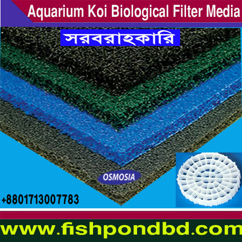 Japanese Matala Sheet in bd, Japanese Matala Mat Supplier in bd, Japanese Matala Mat Supplier Company in bd, Japanese Aquarium Matala Mat Suppliers Company in bd, Japanese Aquarium Fish Farming Matala Mat Suppliers Company in bd, Japanese Aquaculture Fish Farming Matala Mat Suppliers Company in bd, Aquaculture Fish Farming Japanese Matala Mat Suppliers Company in bd, Aquaculture Fish Farming Matala Mat Suppliers Company in bd, Koi Pond Biological Filter Matala Mat Supplier Company in bd, Koi Pond Biological Filter Matala Mat Supplier in bd, Ras Fish Pond Biological Filter Matala Mat Supplier in bd, Ras Fish Pond Biological Filter Matala Sheet Supplier in bd, Fish Farming Biological Filter Matala Mat Suppliers Company in bd