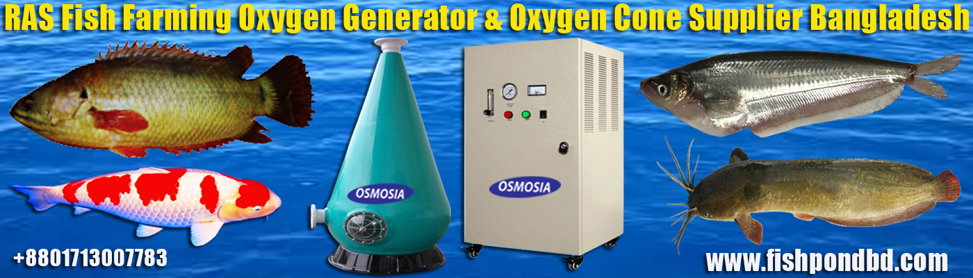 Oxygen Generator in Bangladesh, Oxygen Generator Suppliers in Bangladesh, Oxygen Generator Suppliers in Bangladesh, RAS Oxygen Generator Supplier Company in Bangladesh, RAS Fish Farming Oxygen Generator Suppliers Companies in Bangladesh, RAS Indoor Fish Farming Oxygen Generator Supplier Company in Bangladesh, Aquaculture Fish Farming Oxygen Generator Suppliers Company in Bangladesh, RAS Fish Farming Oxygen Generator Suppliers Companies in Bangladesh, RAS Fish Farming Oxygen Cone Supplier Company in Bangladesh, RAS Fish Farming Oxygen Cone Supplier in Bangladesh, Aquaculture Fish Pond Oxygen Generator Supplier in Bangladesh, Aquaculture Fish Pond Oxygen Generator Suppliers Company in Bangladesh, Fish Pond Oxygen Generator Supplier Company in Bangladesh, Fish Pond Oxygen Generator Supplier Company in China, Ras Fish Pond Oxygen Generator Supplier Company in China, Ras Fish Farming Oxygen Generator Supplier Company in Nigeria, Ras Fish Farming Oxygen Generator Suppliers Company in India, Ras Fish Farming Equipment Supplier Company in India, Ras Fish Farming Technology Supplier Company in Bangladesh