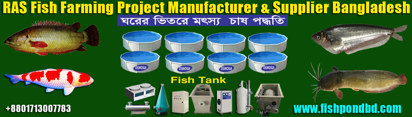 RAS Oxygen Cone Supplier in Bangladesh, RAS Oxygen Cone Suppliers Company in Bangladesh, RAS Oxygen Cone Company in Bangladesh, RAS Oxygen Cone Importer Company in Bangladesh, RAS Oxygen Cone Importer in Bangladesh, RAS Oxygen Cone Suppliers Bangladesh, RAS Fish Farm Oxygen Cone Supplier in Bangladesh, RAS Fish Farm Oxygen Cone Supplier Company in Bangladesh, Industrial Ras Indoor Fresh and Marine Water Fish Farming Equipment Supplier Company in Bangladesh, Ras Industrial Indoor Fresh and Marine Water Fish Farming Equipment Supplier Company in Bangladesh, Ras Rooftop Fresh and Marine Water Fish Farming Equipment Suppliers Company in Bangladesh, Ras Rooftop Fresh and Saline Water Fish Farming Equipment Suppliers Company in Bangladesh, Fresh and Saline Water Fish Farming Equipment Supplier Company in Bangladesh, Fresh and Sea Water Fish Farming Equipment Supplier Company in Bangladesh, Fresh and Sea Water Fish Tank Farming Equipment Supplier Company in Bangladesh