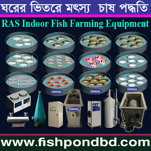 Fish Farming in Kenya, Fish Farming Project in Ethiopia, Fish Farming Project Supplier in Ethiopia, Fish Farming Equipment Supplier in Ethiopia, Fish Farming Machinery Supplier in Ethiopia, Ras Fish Farming Machinery Supplier in Ethiopia, Ras Fish Farming Equipment Supplier in Ethiopia, Ras Indoor Fish Farming Equipment Supplier in Ethiopia, Ras Indoor Fish Farming Equipment Supplier Company in Ethiopia, Indoor Fish Farming Equipment Supplier Company in Ethiopia, Indoor Fish Farming Machinery Supplier Company in Ethiopia
