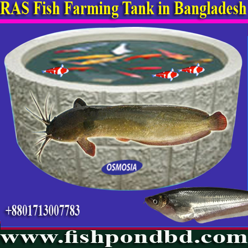 Ras Indoor Fish Farming Equipment Supplier Company in Congo, Indoor Fish Farming Equipment Supplier Company in Congo, Indoor Fish Farming Machinery Supplier Company in Congo, Indoor Fish Farm Machinery Supplier Company in Congo, Indoor Fish Farm Accessories Supplier Company in Congo, Ras Fish Farming Equipment Manufacturer in Congo, Fish Farming in Algeria, Fish Farming Project in Algeria, Fish Farming Project Supplier in Algeria, Fish Farming Equipment Supplier in Algeria, Fish Farming Machinery Supplier in Algeria