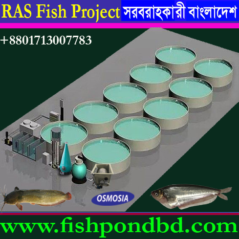 Aquaculture Industrial Indoor RAS Fish Farming Project, Aquaculture Industrial Indoor RAS Fish Farming Systems, Industrial Indoor RAS Fish Farming Project, Industrial Indoor RAS Fish Farming Systems, Industrial Indoor RAS Fish Farming Machine, Industrial Indoor RAS Fish Farming Machinery, Aquaculture Industrial Indoor RAS Fish Farm Project, Aquaculture Industrial Indoor RAS Fish Farm Systems, Industrial Indoor RAS Fish Farm Project, Industrial Indoor RAS Fish Farm Systems
