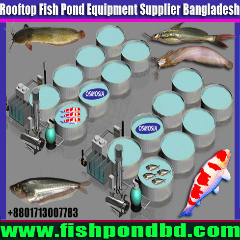 Water Treatment Supplier for Aquaculture Fish Farming Project in Bangladesh, Aquaculture Fish Farming Water Filter Supplier in Bangladesh, Aquaculture Fish Farming Water Filter Supplier Company in Bangladesh, Aquaculture Fish Farming Water Equipment Supplier Company in Bangladesh, Aquaculture Fish Farming Water Filtration Product Supplier Company in Bangladesh, Aquaculture Fish Farming Water Treatment Equipment Supplier Company in Bangladesh, Modern Ras Fish Farming Water Treatment Machinery in Bangladesh