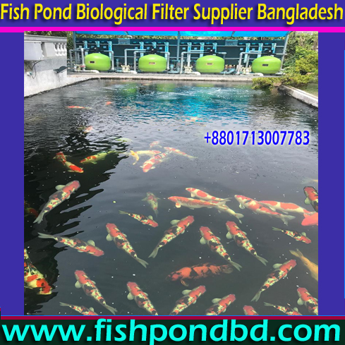 Water Treatment Plant for Fish Farming in Bangladesh, Water Treatment Filter for Fish Farming Project in Bangladesh, Water Treatment Machinery Supplier for Fish Farming Project in Bangladesh, Water Treatment Machinery Suppliers for Aquaculture Fish Farming Project in Bangladesh, Aquaculture Fish Farming Water Purifiers Suppliers in Bangladesh, Aquaculture Fish Farming Water Purifier Machine  Suppliers Company in Bangladesh, Aquaculture Fish Farming Water Filter Equipment Suppliers Company in Bangladesh