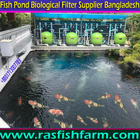 Aquarium Aquaculture Fish Farming Products Supplier Company in Bangladesh, Aquaculture Fish Farming Water Filter Machinery Supplier, Fish Farming Biological Water Filter Suppliers, Fish Farming Biological Filter Suppliers, Fish Farming Water Treatment Filter Suppliers, Fish Farming Water Treatment Machinery Suppliers, Aquaculture Fish Farming Water Treatment Plant Suppliers, Fish Pond Aquaculture Water Treatment Plant Suppliers, Aquaculture Fish Pond Biological Filtering Machinery in Bangladesh